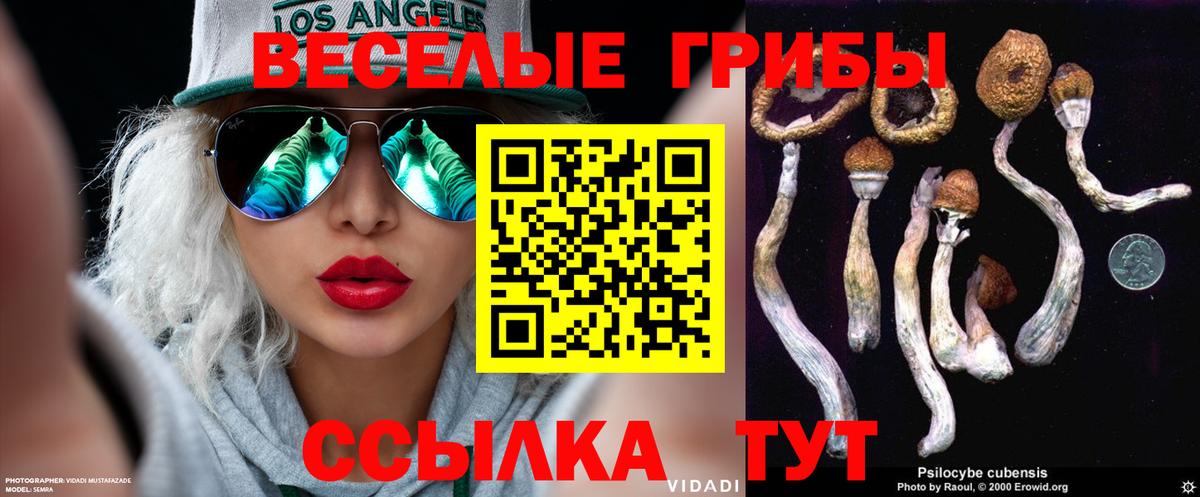 Новоалександровск  Галлюциногенные грибы MAGIC MUSHROOMS  Вход с VPN 
